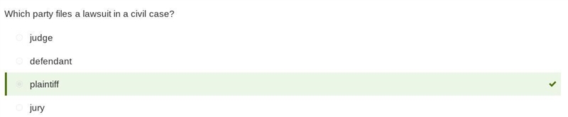 Which party files a lawsuit in a civil case? A- Plaintiff B- Judge C- Jury D- Defendant-example-1