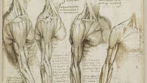 although Leonard da vinci was well know for being an artist how has he contributed-example-1