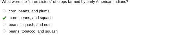 What physical feature is located in the northeastern United States? O the Great Lakes-example-2