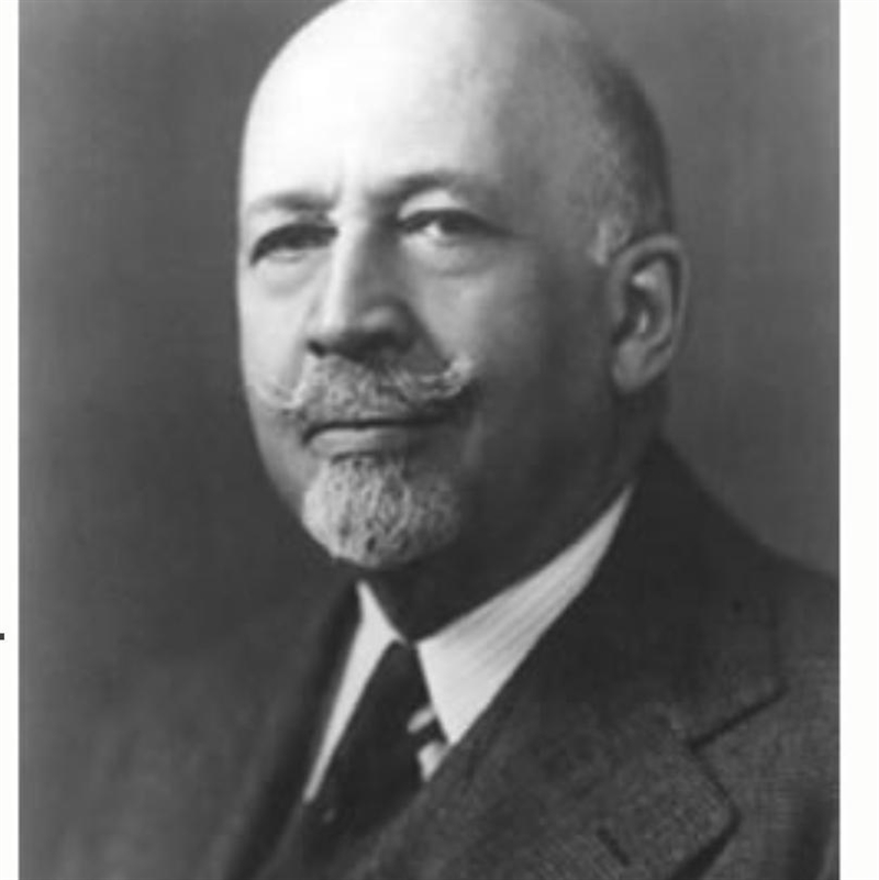 How was WEB du bois successful ?-example-1