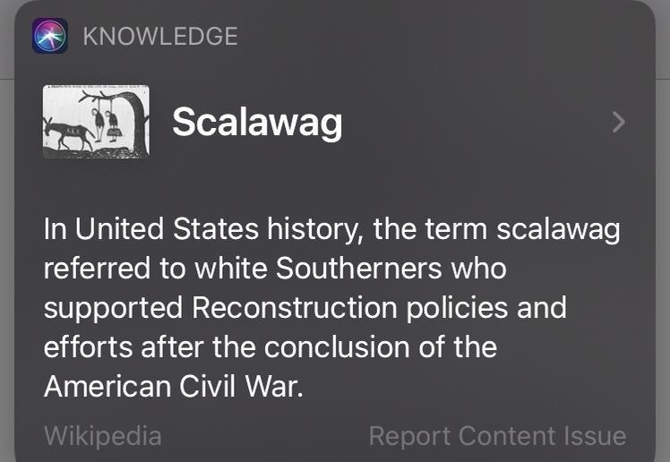 What were Scalawags? A. were southerners who supported the South during the Civil-example-1