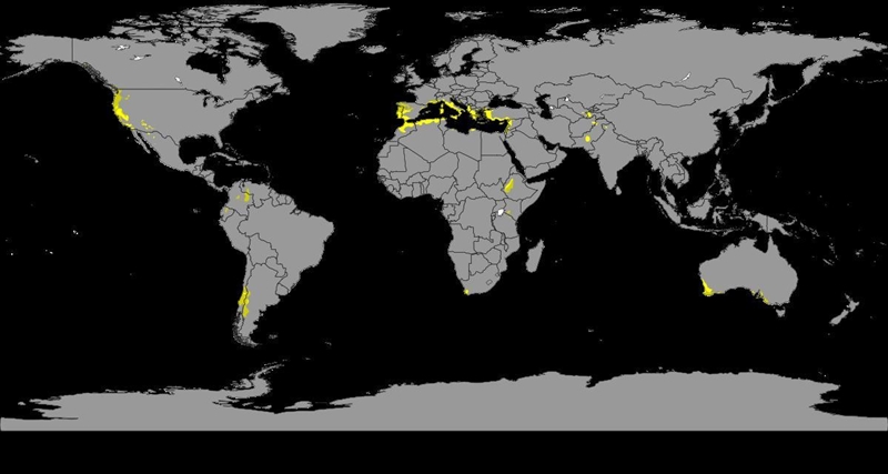 The climate in southern europe is mostly A.temperate B.polar C.tropical D.highland-example-1