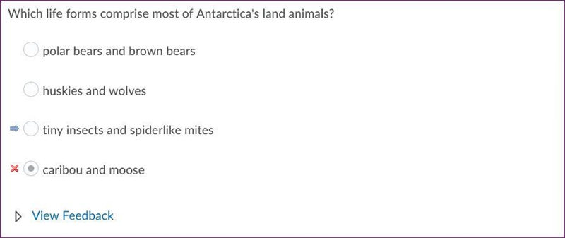 Which life forms comprises most of an article land animals? A--Polar bears and brown-example-1