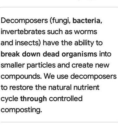 4. ________________________________________ are organisms that break down dead matter-example-1