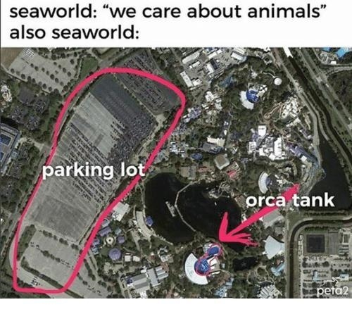 What is the reason SeaWorld is planning to increase the size of its orca enclosure-example-1