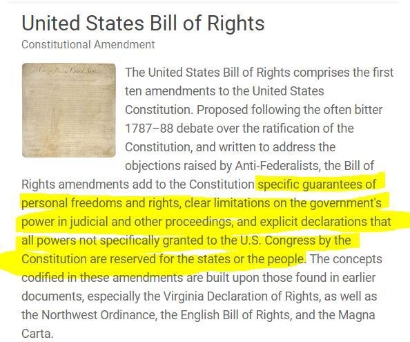 The Bill of Rights is meant to protect the rights of the A. President of the United-example-1