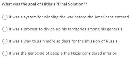 What was the goal of hitler's final solution-example-1