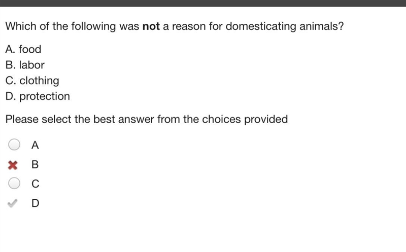 Which of the following was not a reason for domesticating animals? A. food B. labor-example-1