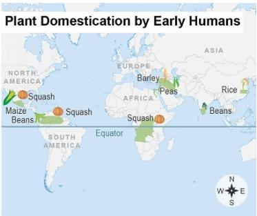 Will give brianliest if u help The map shows crops that were grown by early humans-example-1