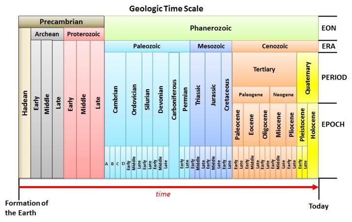 The diagram above suggests that A. geologic eras occur in repeating cycles. B. the-example-1