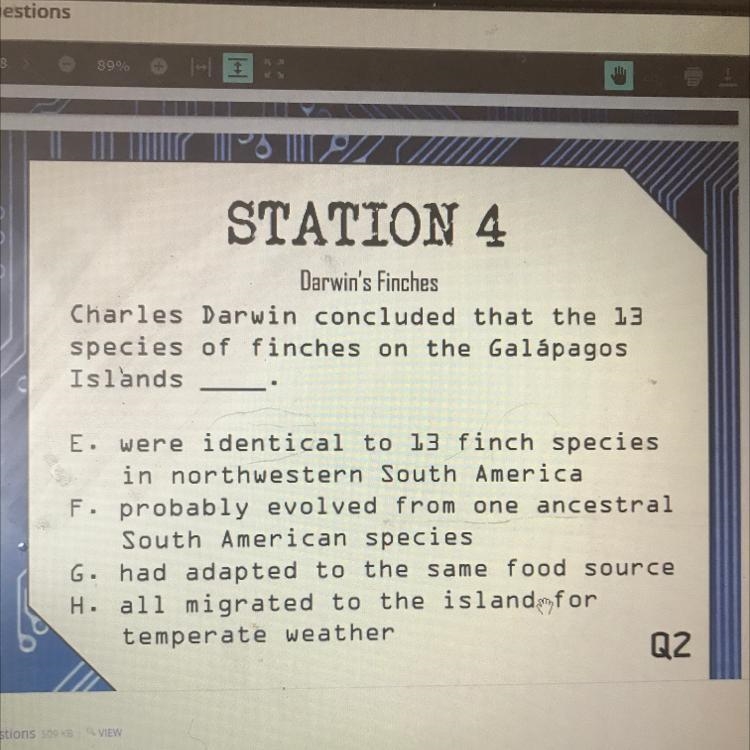 Finches please answer quick-example-1