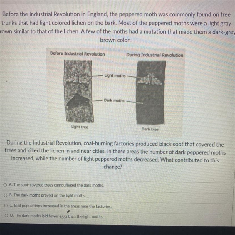 During the Industrial Revolution, coal-burning factories produced black soot that-example-1