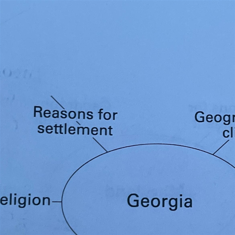 Georgia Reasons for settlement-example-1