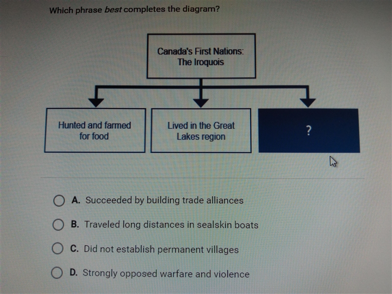 Which phrase best completes the diagram?-example-1