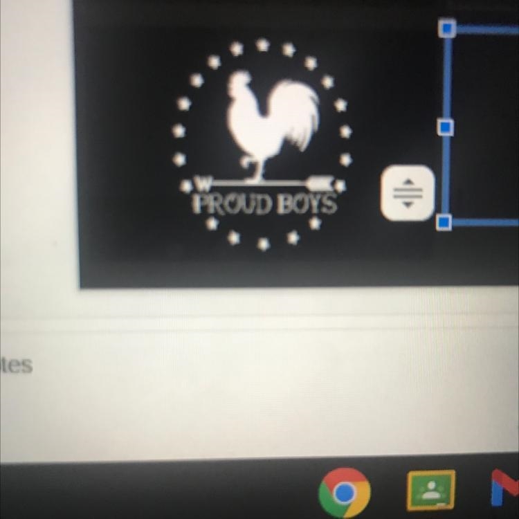 What does this logo mean (proud boys ) ?-example-1