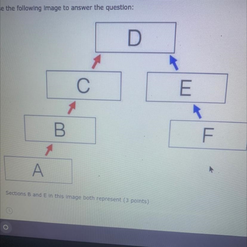 1. Use the following Image to answer the question: Sections B and E in this image-example-1