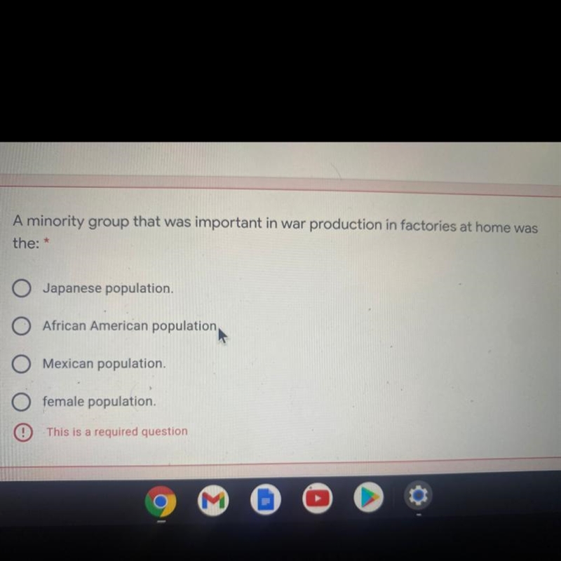 A minority group that was important in war production in factories at home was the-example-1