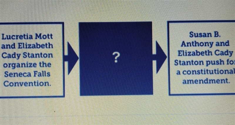 Which phrase best completes this diagram? Lucretia Mott and Elizabeth Cady Stanton-example-1