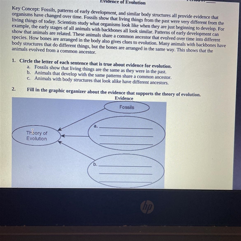 Can you plz help me 20 points-example-1