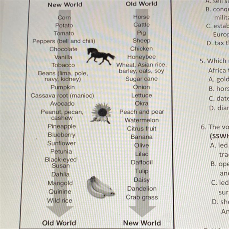 This chart of the Columbian exchange shows the... The Answer is A. The benefits of-example-1