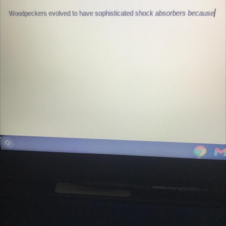 Woodpeckers evolved to have sophisticated shock absorbers because-example-1