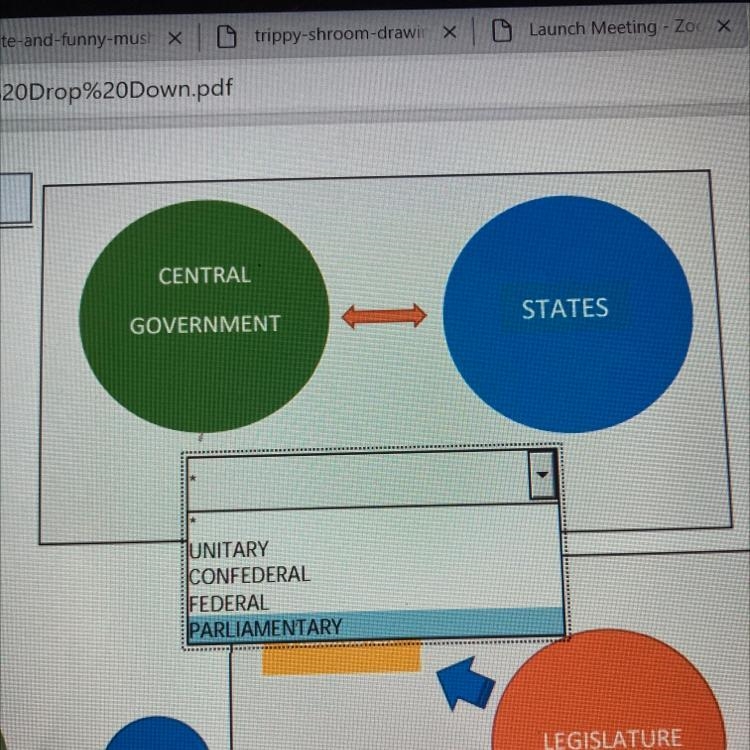 CENTRAL GOVERNMENT STATES UNITARY CONFEDERAL FEDERAL PARLIAMENTARY-example-1