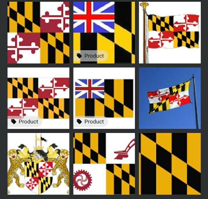 Are any of these colonial Maryland's flag??​-example-1