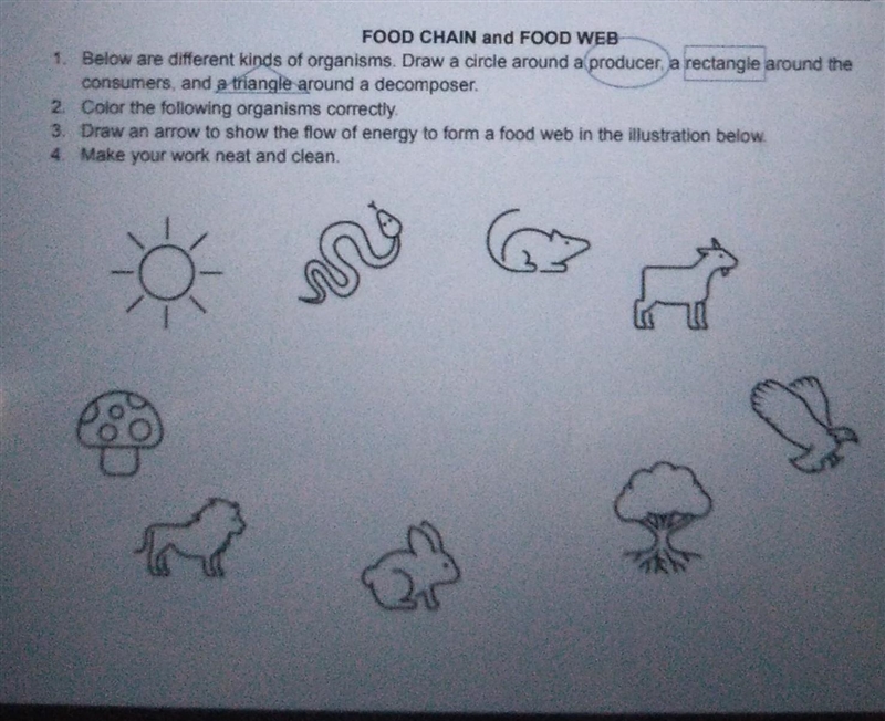 Pa help po food chain and food web​-example-1