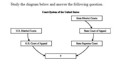 Which U.S. court belongs in the empty box in the diagram? A. U.S. Circuit Court B-example-1