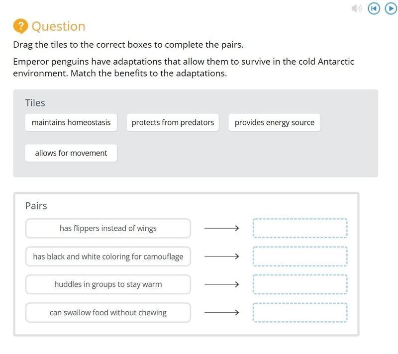 Drag the tiles to the correct boxes to complete the pairs. Emperor penguins have adaptations-example-1