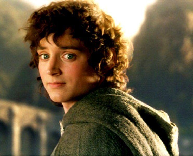 PLEASE TELL ME AM I THE ONLY PERSON THAT THINKS FRODO BAGGINS IS ATTRACTIVE AHHAHA-example-1