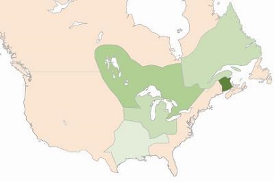 The map shows early North America. Map of early North America in different shades-example-1