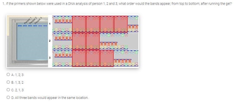 If the primers shown were used in a DNA analysis of person 1, 2, and 3, what order-example-1