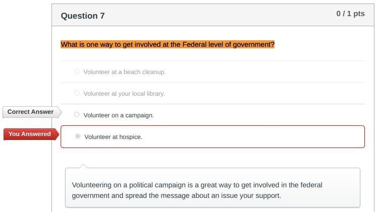 What is one way to get involved at the federal level of government? A) Volunteer ay-example-1