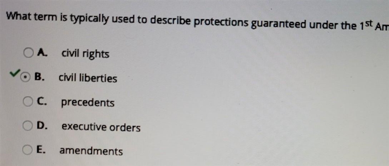 What term is typically used to describe protections guaranteed under the 1st Amendment-example-1