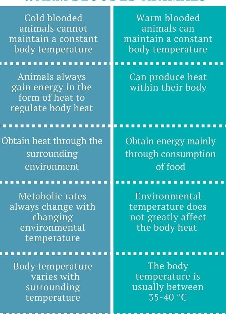 - Write the difference between warm blooded and cold blooded animals​-example-1