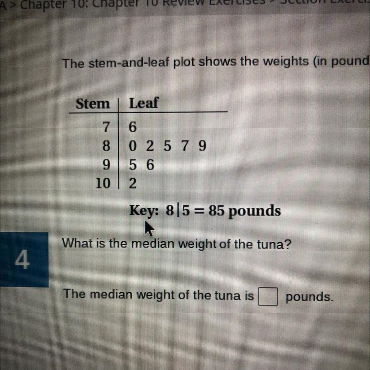 Help i dont reamember how to do this plz-example-1