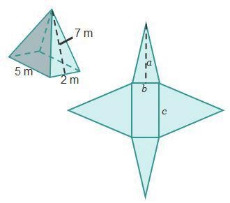 Which statement is true about the net and the solid it can form? A. The length of-example-1