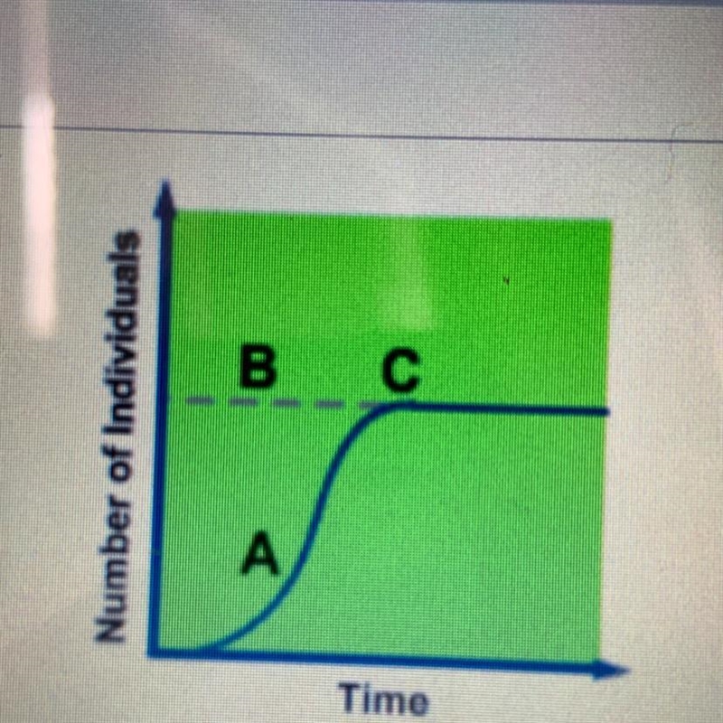 Which point on the graph represents carrying capacity when full? А В С-example-1