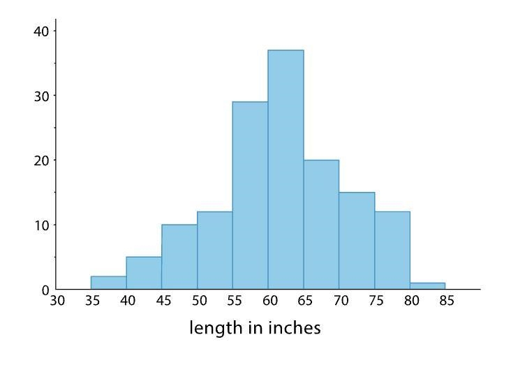 The histogram summarizes the data on the body lengths of 143 wild bears. Write a few-example-1