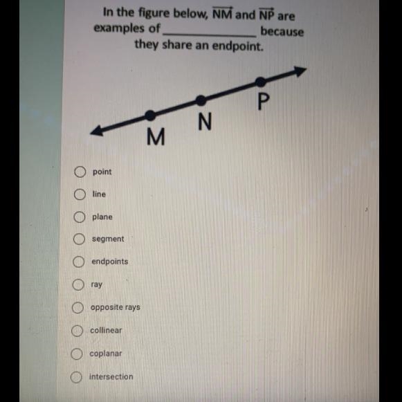 In the figure below, NM and NP are examples of ______ because they share an endpoint-example-1