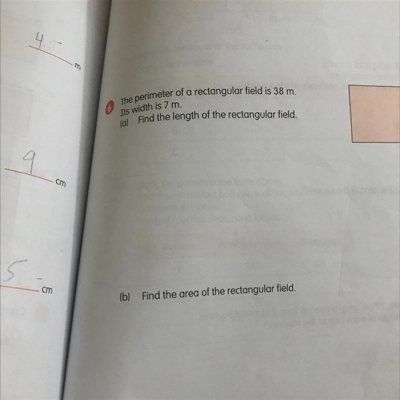 The perimeter of a rectangular field is 38m. It’s width is 7cm.-example-1