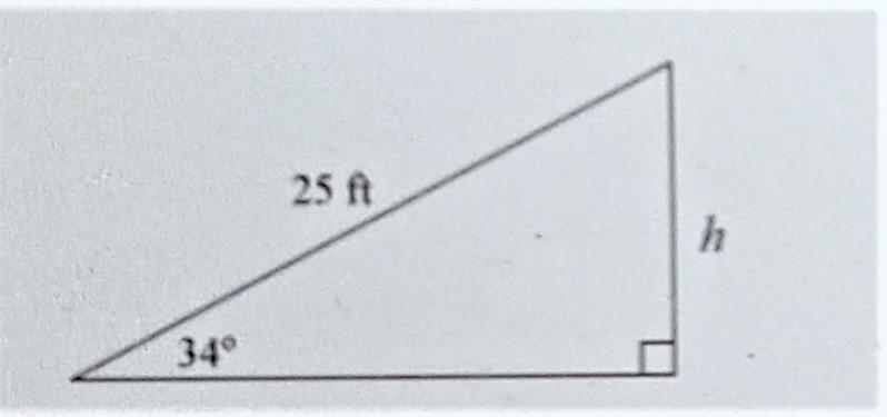 Angle Relationships Determine the height of the triangle. Round to the nearest foot-example-1