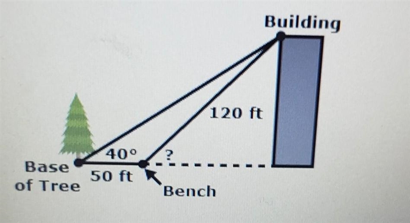 What's the angle of elevation from the bench to the top of this building?​-example-1