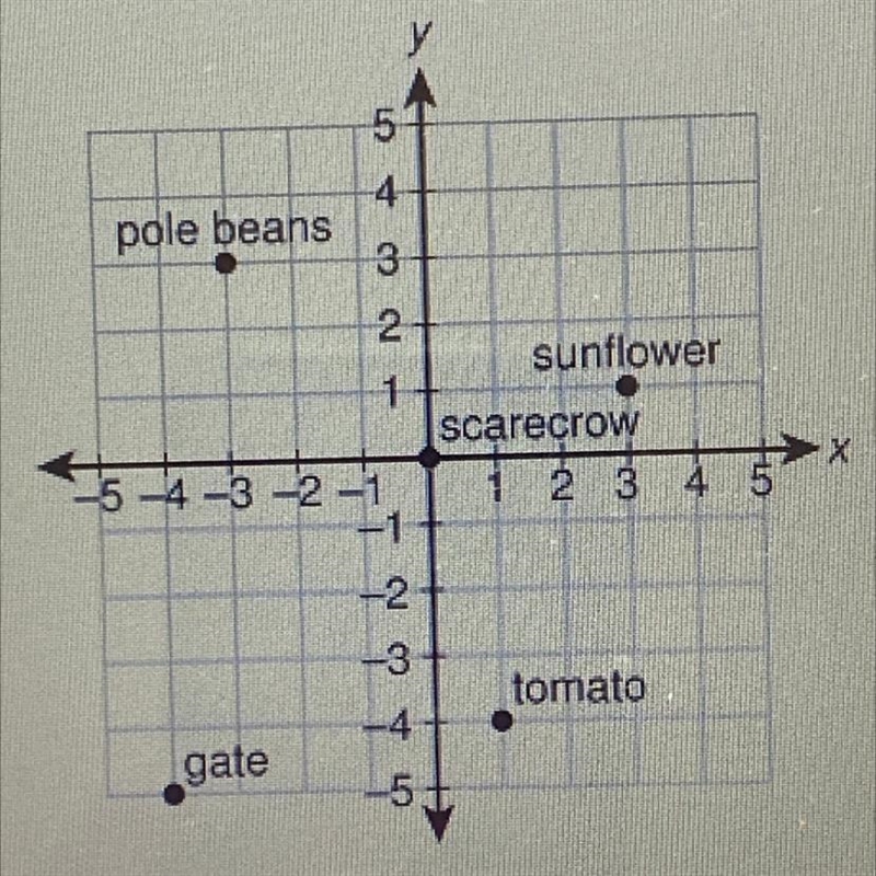 What is located at the point (3, 1)? A. Tomato B. Gate C. Scarecrow D. Sunflower-example-1