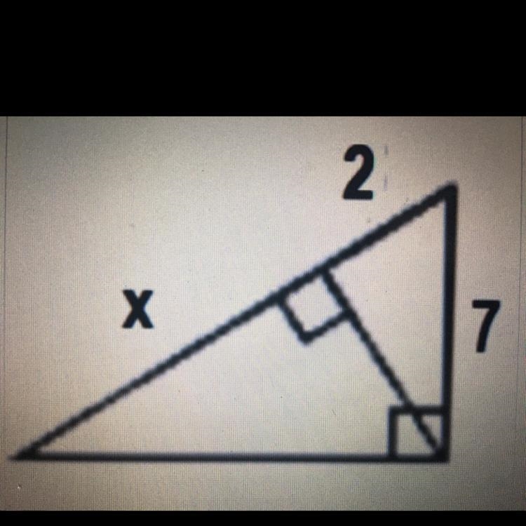 Solve for x. Show your work.-example-1