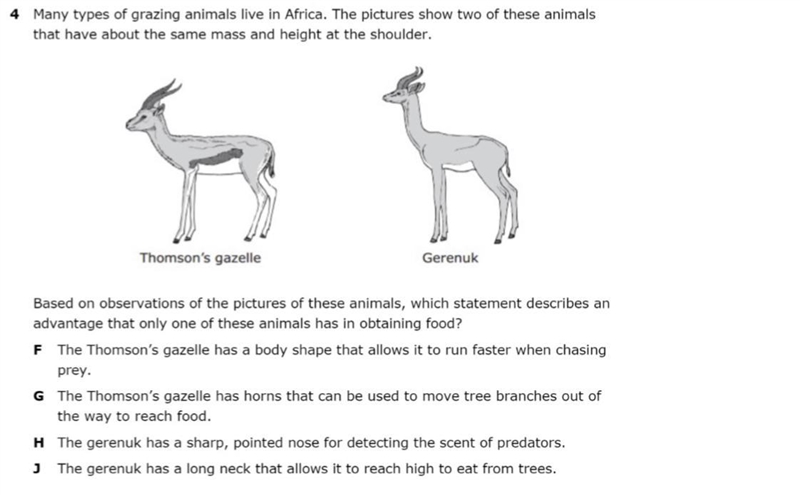 THIS IS SEINCE TOPIC : ANIMALS!!! ( it doesn’t let me change the subject. )-example-1