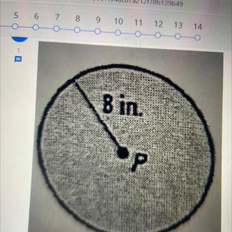 Find the area of this circle and round to the nearest tenth. Help me pls-example-1