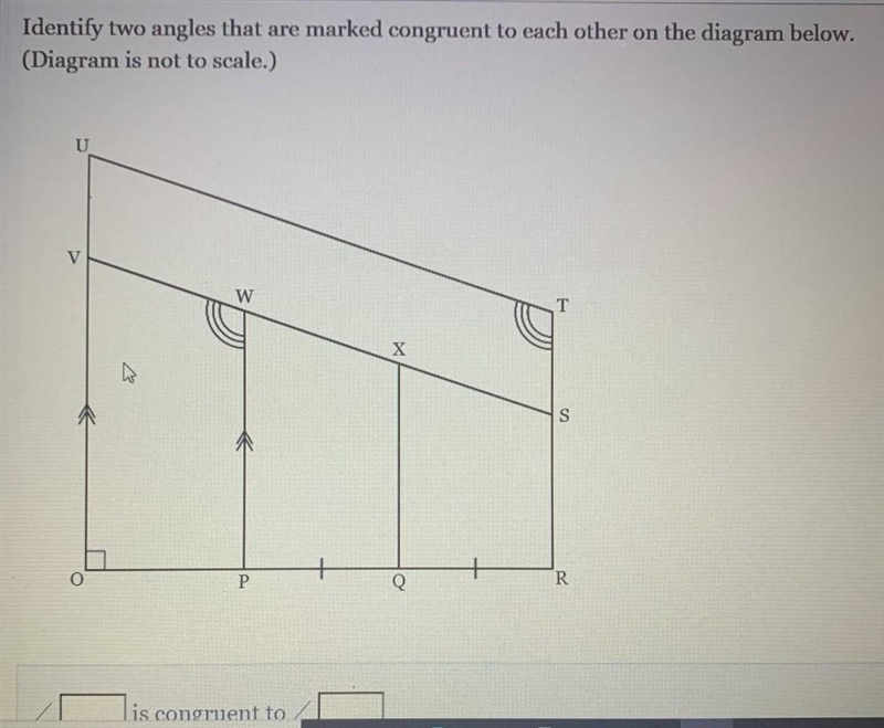 Identify two angles that are marked congruent to each other on the diagram below. (Diagram-example-1