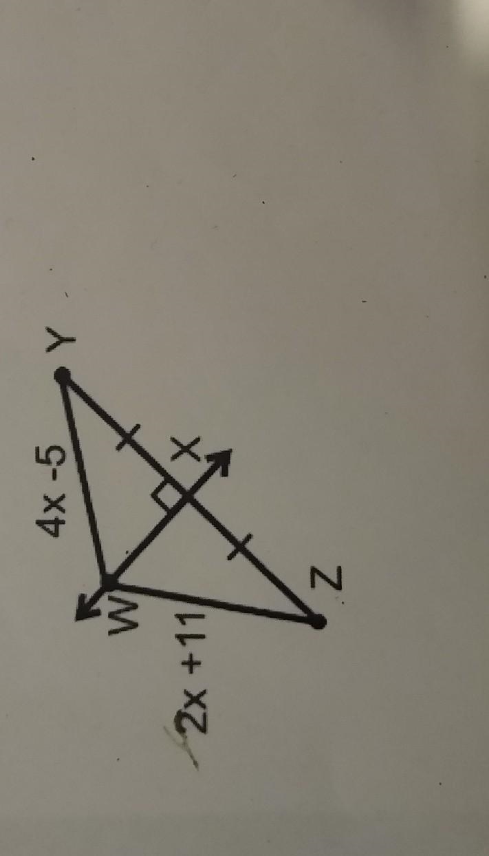 Solve for x. show your work please​-example-1